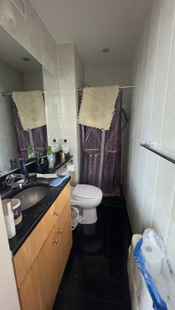 Personal Bathroom - Private Bedroom in Shared Apartment next to Manhattan Bridge.