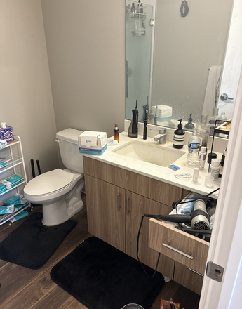 Bathroom (apartment will be cleaned prior lease out) - Rise On Chauncey 1B1B Penthouse