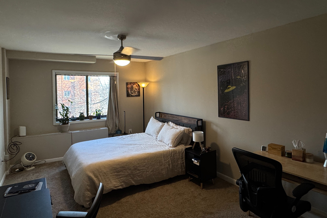Bedroom unit - Bedroom in Shared 2 Bed/1 Bath Arlington Apartment