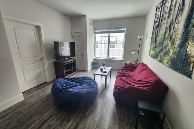 Living room - Summer Sublet in Amherst Apartments