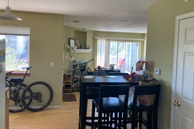 View from kitchen - Room available in 3 bedroom / 2 bath apartment