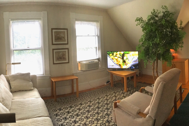 Living room - 5 Minute WALK TO HARVARD. Furnished 1-Bedroom & Study, in-unit washer/dryer + all utilities included