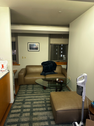 Living Room - FURNISHED SUMMMER SUBLET 2 Bed 2 Bathroom Whole Apartment (Close to Law School and T-Stop!)