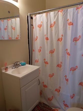 Bathroom - Central one-bedroom apartment available May 5th-July 1; August 1-August 26