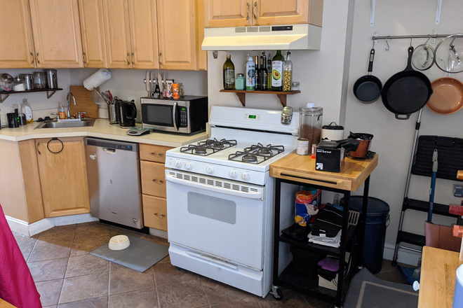 Call NOW for showings! 617-236-8550 - PORTSMOUTH ST - GORGEOUS INMAN SQ 2BR/1BA FOR *1/1/2026* W/ LNDRY IN BLDNG, DW, EIK, OUTDOOR SPACE!