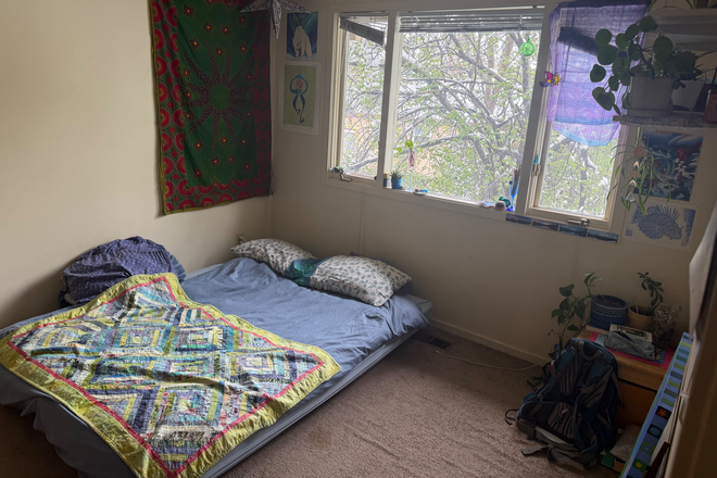 bedroom - Room with big windows! Summer sublet, close to campus