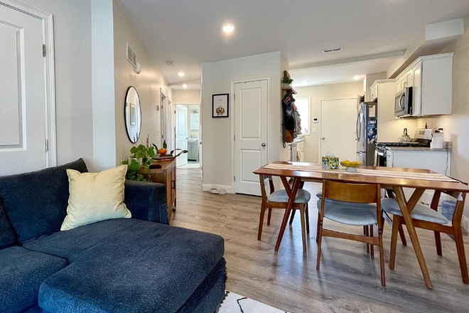 Kitchen from living room, great sunlight - Wayland Square, New Apartment