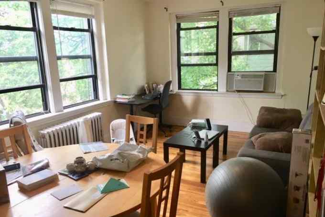 living - No fee great location! dana Hill! sunny spacious, heated, laundry Harvard Design redline Apartments