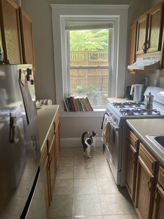 Kitchen - Room for rent in cozy, spacious Porter Square apartment (2 bed/1 bath)