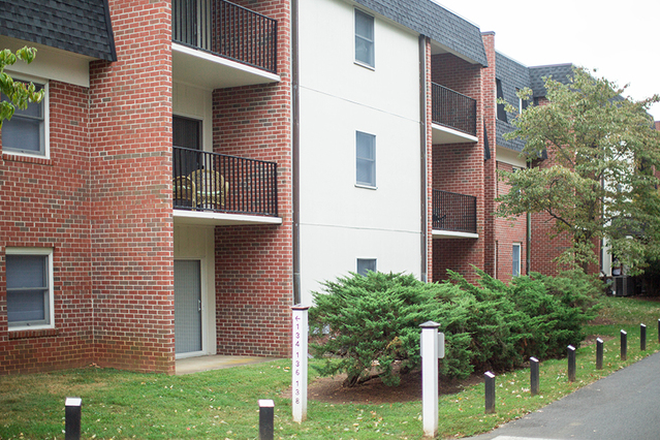 Outside street view - 3 bedroom 2 bathroom apt close to campus