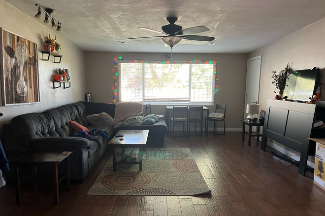 Living room 1 - 1 Room Available for older students (graduate or professional)
