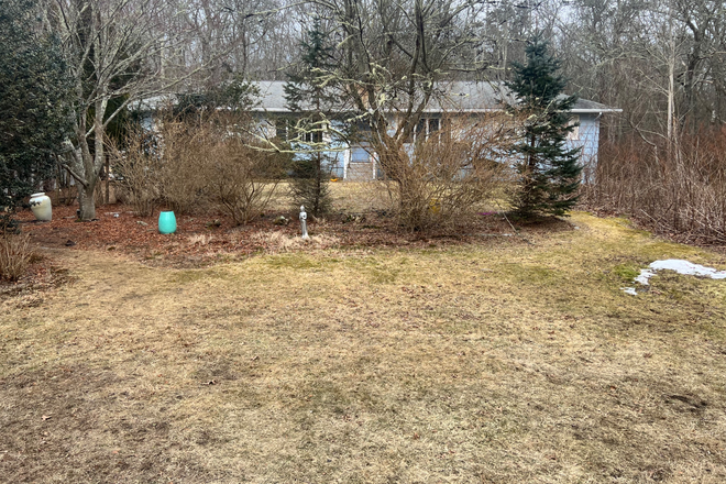 Front yard - URI Housing