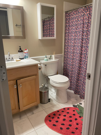 bathroom - 1 Bedroom, in a 3 Bed 2 Bath, Close to Law School and Main Campus Condo
