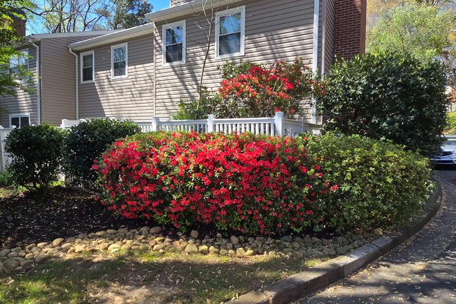 back of unit - Spacious townhouse near Emory!