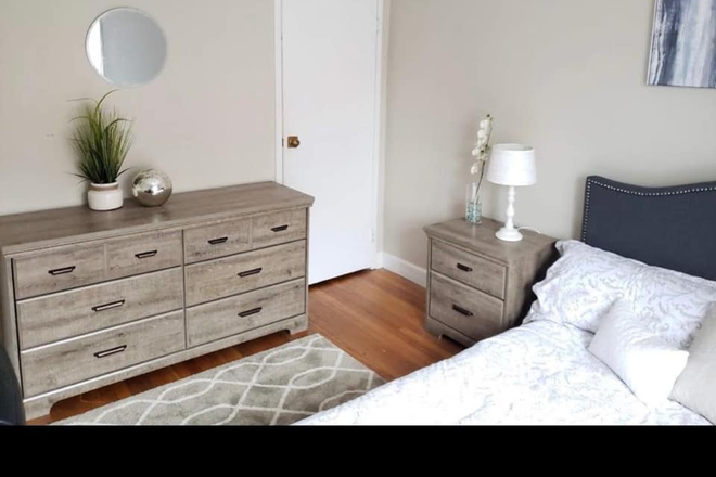 Bedroom - 2 Bedroom 1 Bathroom Apartment