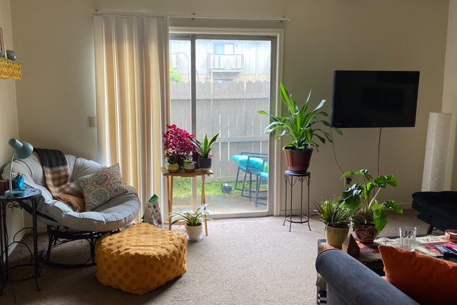 Reading corner and patio - Sugartree Apartments