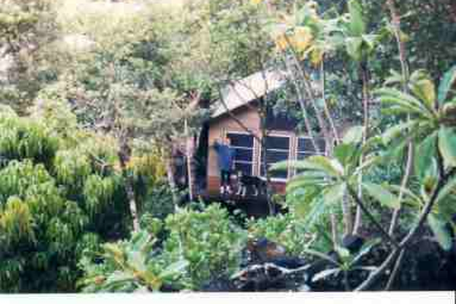 Treehouse - Great household – welcome visitors friends house guests kids – bananas mangoes taro luau – Palolo