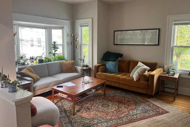 Living Room - Adorable room in gorgeous 3-bed with two fun, professional roommates
