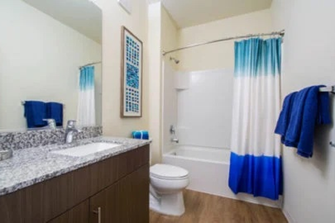 On suit bathroom - Terrapin Row Apartments