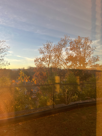 Window View - Bellamy Apartments Dahlonega