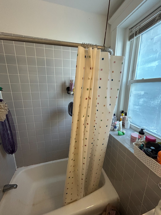 Bathroom - Close Emerald Necklace apartment