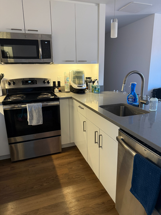 Kitchen / Dishwasher / Microwave - 2 Soldiers Field Park, HBS Campus Apartments