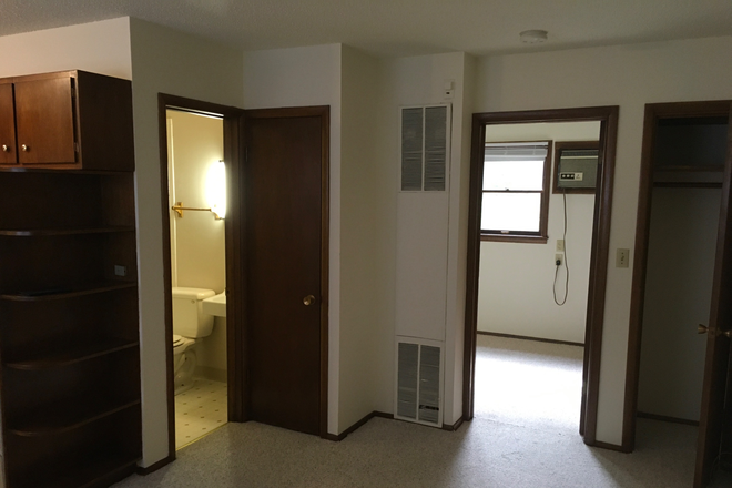Living room - Nice quiet close in Study Apartment for Grad Student in residential area a few blocks from campus.