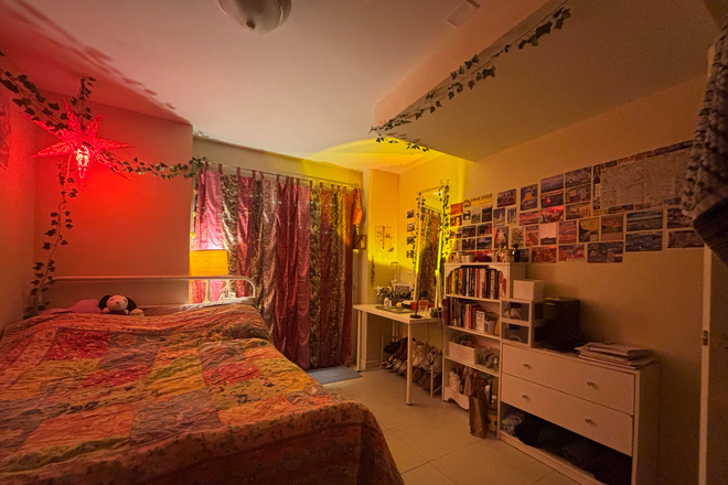 Bedroom - Avail 7/24/26. Cozy one room sublease w/ opportunity for acad. year lease