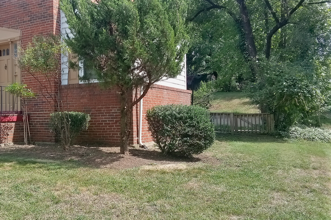 Side of home and back yard - Rental House close to campus