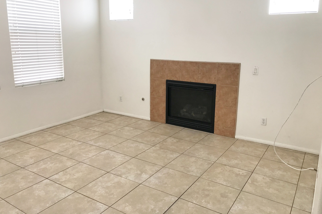 rear living room - REDINGTON 4 BEDROOM 3 BATHROOM Modern home - Walk/Bike/Scooter to Campus!