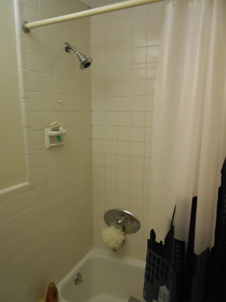 bathroom - Sunny Spacious 1 BR HEAT + HW + PK INCL!!!!
