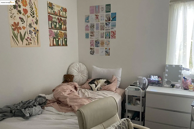 One of the bedrooms - URGENTLY Looking for a Female Identifying Roommate to Fill a Single