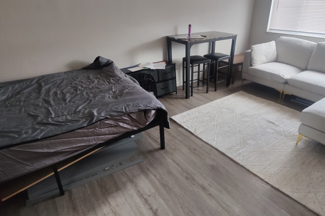 Main Living area - Studio Available (Right Now) Lease Takeover Apartments