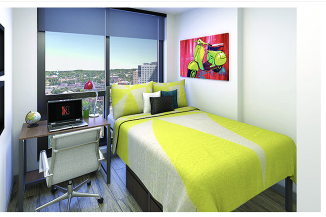 Bedroom - Lightview 4 BED 2 BATHS 2025 - 2026 Re-let [1 BR Available]