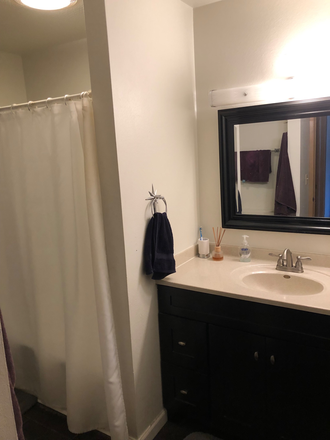 Bathroom #1 - 4 Bed 2 Bath located across the street from UIHC and Dental School (July 1to May 29) Apartments