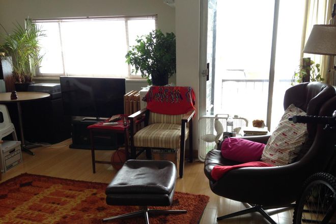 Living Room with access to Patio - SPACIOUS, Light, Newly Furnished Rm. in 2 Brm, Pvt. Bath, A/C, Walk Harvard/MIT