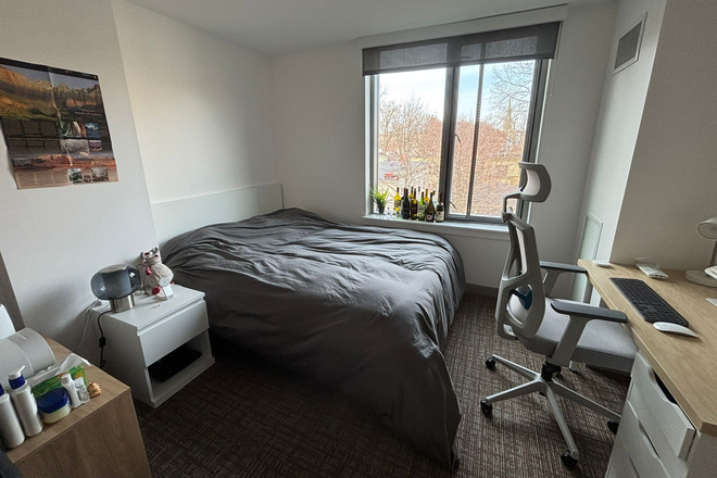 Bedroom - Summer studio in Harvard Housing with A/C (5 Cowperthwaite, Harvard Sq) Apartments