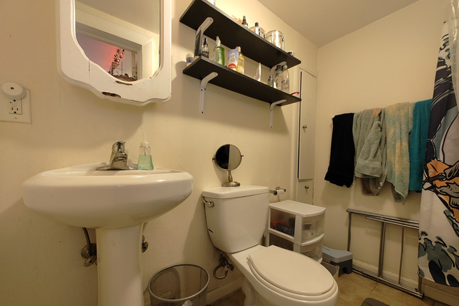 - - No Broker Fee! Close to Campus! 5 bed 2.5 bath w/ Laundry Apartments