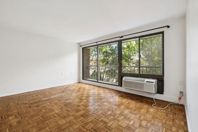Living Room - Bright and Quiet 2BR/1BA Apartment Right in Harvard Square