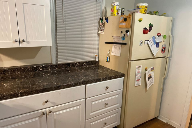 Kitchen - Female Student Housing Near CUA House