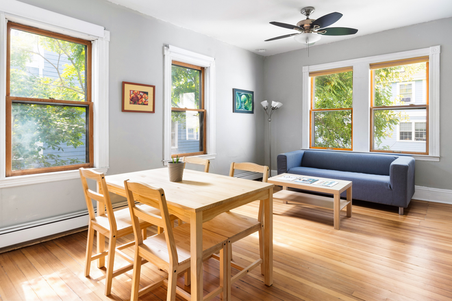 Living room - Sunny 2BR/1BA, 867 sqft apt w. Washer/Dryer near MIT/Harvard | perfect for postdocs & grad students