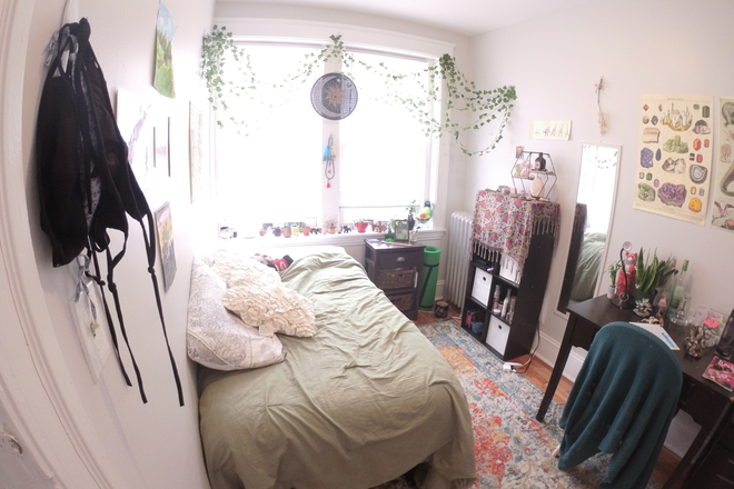 Naturally Lit Bedroom - Incredible Apartment (09/01/2025) 10 MIN WALK TO CAMPUS!!!