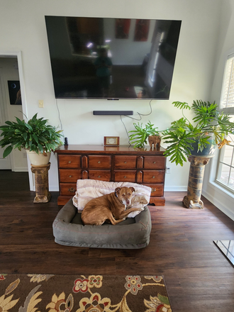 living room - 3 bedroom 2 bath house looking for 1 roommates-10 min from campus!