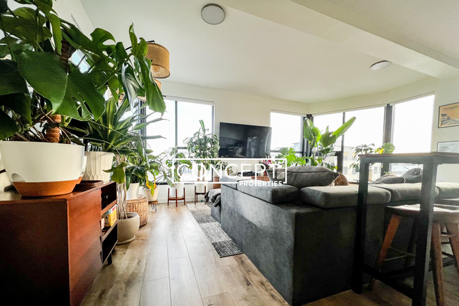 1-3 Sewall #407 - [April or May 1st][Grads only] LUXURY 2 beds/ 1 bath on Sewall [No fee][Mission Hill] Apartments