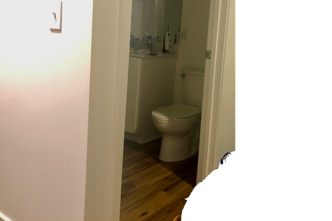 Bathroom - Reflection Student Apartment