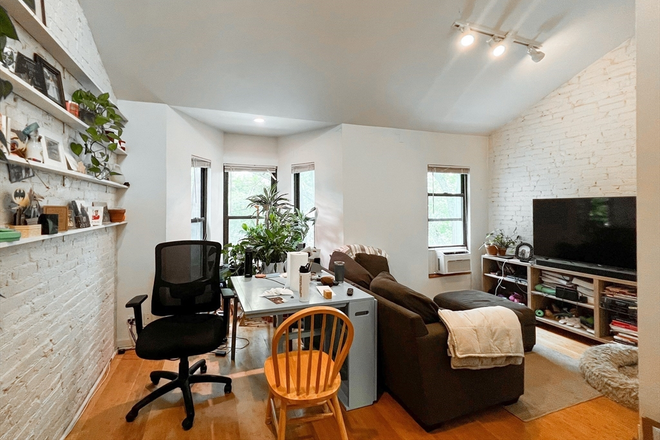 - - Close to Campus! Loft style 1 bed w/ Laundry in building