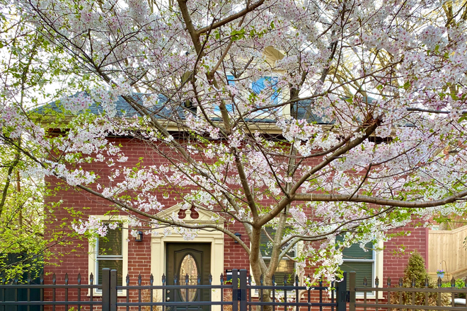 Front of house - A charming carriage house in East Walnut Hills