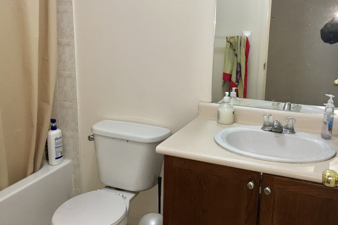 Photo - Fully renovated.3 bedrooms Available August/Sept. 1.2026. Female preferred includes all utilities Duplex