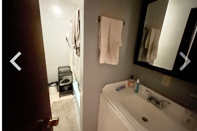 Bathroom - 2BD Cozy Vibes + Brick Walls Apartment, 5 mins from campus