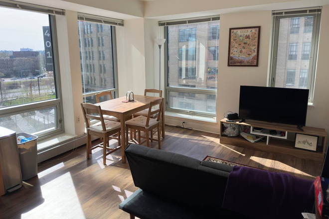 Living room - Harvard at Trilogy Apartments